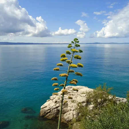 3e Apartman Split